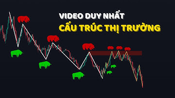 Video Duy Nhất Về Cấu Trúc Thị Trường Mà Bạn Cần... (Áp Dụng Luật Bò Gấu)